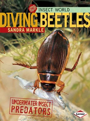 cover image of Diving Beetles